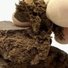 CBD HASH - H4CBD Hash