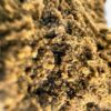 CBD HASH - Mango Kush Afghan Hash Grade A+